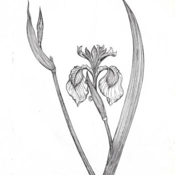 Dessin intitulée "Yellow Iris Iris ps…" par Raphael Gottlieb, Œuvre d'art originale, Autre