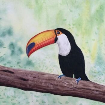 Painting titled "Le Toucan" by Raphaëlle Barolo, Original Artwork, Watercolor