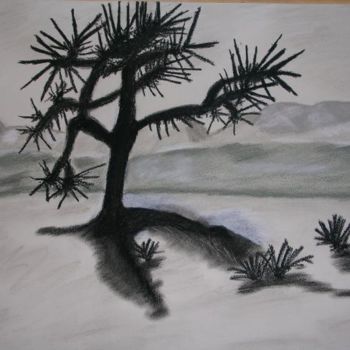 Drawing titled "Joshua tree" by Florence, Original Artwork