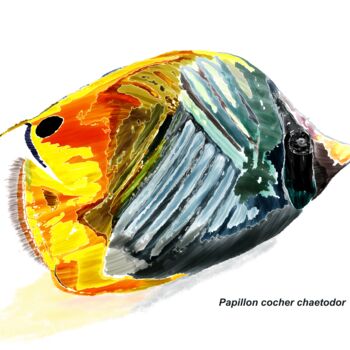 Arts numériques intitulée "Papillon Cocher Cha…" par Rc Digipainter436, Œuvre d'art originale, Peinture numérique
