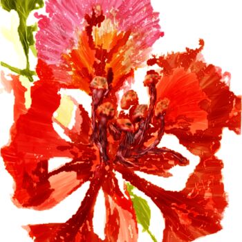 Arts numériques intitulée "Fleur de Flamboyant" par Rc Digipainter436, Œuvre d'art originale, Peinture numérique