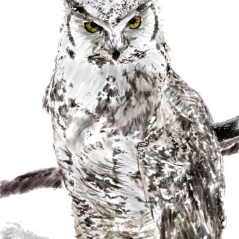 Arts numériques intitulée "Hibou Grand Duc" par Rc Digipainter436, Œuvre d'art originale, Peinture numérique