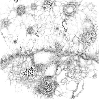 Drawing titled "Bacteriophage Ballet" by Regina Valluzzi, Original Artwork, Ink