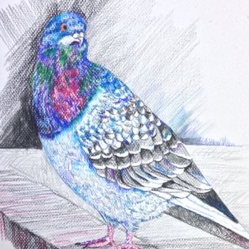 Pittura intitolato "Blue pigeon" da Regina M, Opera d'arte originale, Altro