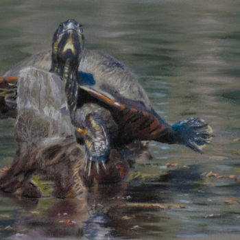 Peinture intitulée "Sunnin' Turtle" par Reidsart, Œuvre d'art originale, Pastel