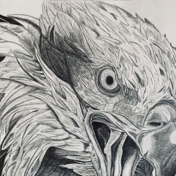 Drawing titled "Aigle" by Rémi Capobianco, Original Artwork, Pencil