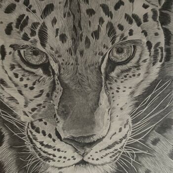 Dessin intitulée "Jaguar" par Rémi Capobianco, Œuvre d'art originale, Crayon