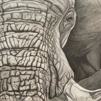 Dibujo titulada "Elephant 2" por Rémi Capobianco, Obra de arte original, Lápiz