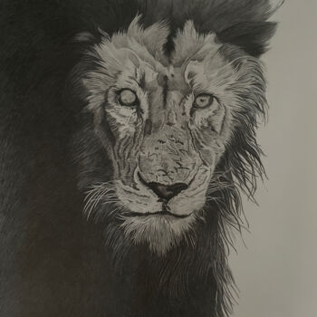 Dessin intitulée "Lion" par Rémi Capobianco, Œuvre d'art originale, Crayon