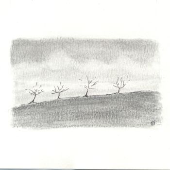 Drawing titled "Arbres au bord d'un…" by Rémi Collin, Original Artwork, Pencil