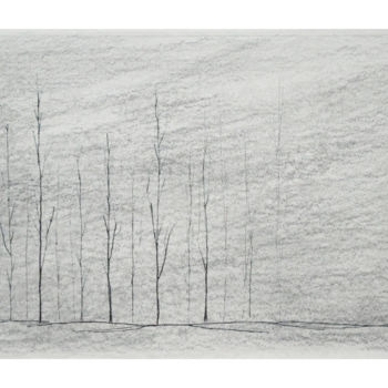 Dessin intitulée "Peupliers dans la b…" par Rémi Collin, Œuvre d'art originale, Crayon