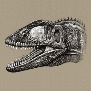 Tekening getiteld "Carcharodontosaurus" door Remigius Sebastian Sappa, Origineel Kunstwerk, Conté