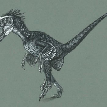 Zeichnungen mit dem Titel "Velociraptor" von Remigius Sebastian Sappa, Original-Kunstwerk, Conté-Buntstifte
