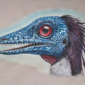 图画 标题为“Archaeopteryx” 由Remigius Sebastian Sappa, 原创艺术品, 彩画