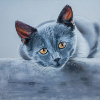 Drawing titled "Graue Katze" by Renate Dohr, Original Artwork, Pastel