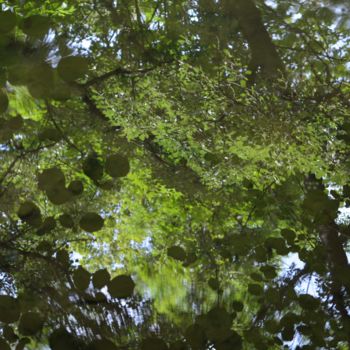 Photographie intitulée "Reflet" par Renaud Klumpp, Œuvre d'art originale, Photographie numérique