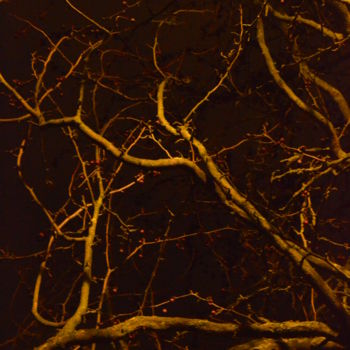 Photographie intitulée "Lumière d'une nuit" par Renaud Klumpp, Œuvre d'art originale, Photographie numérique