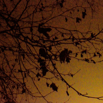 Fotografía titulada "Lumière nocturne" por Renaud Klumpp, Obra de arte original, Fotografía digital