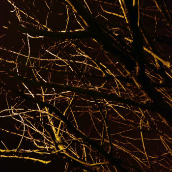 Photography titled "Lumière nocturne en…" by Renaud Klumpp, Original Artwork, Digital Photography