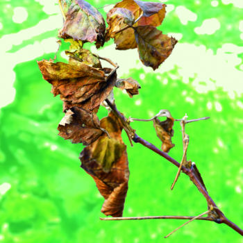 Arts numériques intitulée "Végétal 2" par Renaud Klumpp, Œuvre d'art originale, Photo montage