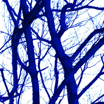 Photographie intitulée "Lumière bleue 1" par Renaud Klumpp, Œuvre d'art originale, Photographie numérique