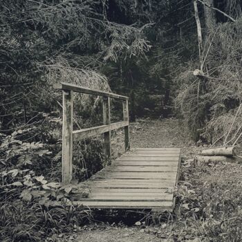 Fotografie getiteld "Brücke im Wald" door René Basse, Origineel Kunstwerk, Digitale fotografie
