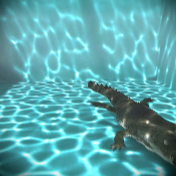 "David's Pool 07c-04" başlıklı Dijital Sanat René Bui tarafından, Orijinal sanat, 3D modelleme