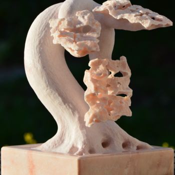 Scultura intitolato "bonsai evolution" da Cesar Valerio, Opera d'arte originale, Pietra