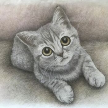 Disegno intitolato "Cute cat" da Michael Reshetniak, Opera d'arte originale, Matite colorate