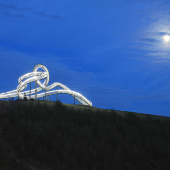 Photographie intitulée "Tiger & Turtle" par Revier-Kult-Kumpel, Œuvre d'art originale