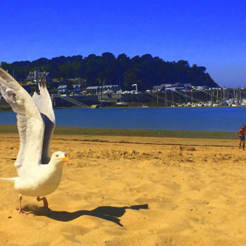 Photographie intitulée "mouette.jpg" par Karine Revillon, Œuvre d'art originale