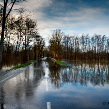 Fotografia intitulada "SUR LA ROUTE" por Karine Revillon, Obras de arte originais