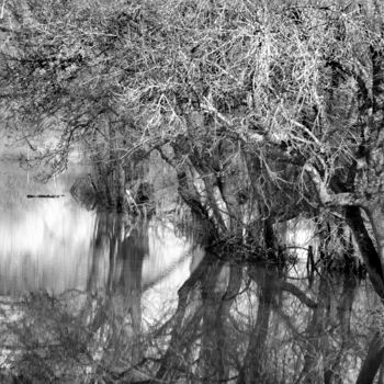 Photographie intitulée "Mâcon nature" par Karine Revillon, Œuvre d'art originale, Photographie numérique