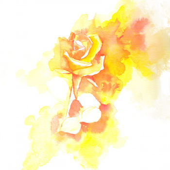Malerei mit dem Titel "Rose" von Reza Davatgar, Original-Kunstwerk, Aquarell
