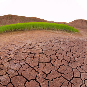 Photographie intitulée "Symbol of drought" par Reza Fardinfar, Œuvre d'art originale, Photographie numérique