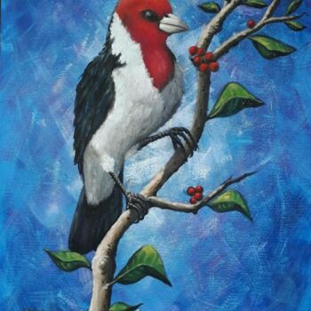 Painting titled "Galo de Campina" by Ricardo Carvalheira, Original Artwork, Acrylic