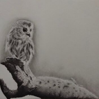 Desenho intitulada "Owl" por Richard Steinbrecher, Obras de arte originais, Grafite