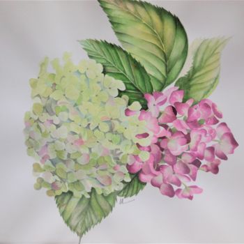 Peinture intitulée ""Fleurs d'hortensia…" par Solveig Gnéma-Richard, Œuvre d'art originale, Aquarelle