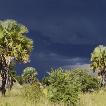 Fotografia intitolato "rainy season" da Ricopic, Opera d'arte originale