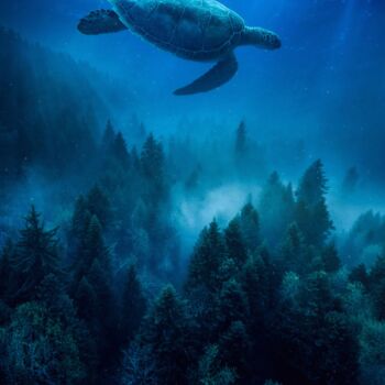 Arts numériques intitulée "Une tortue de mer n…" par Rigaud Mickaël (Gen Z), Œuvre d'art originale, Photographie manipulée