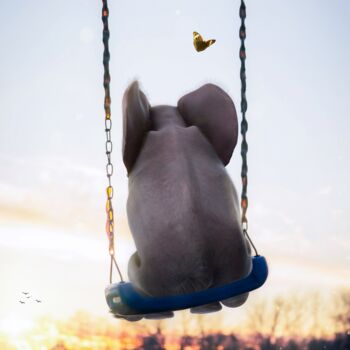 Arts numériques intitulée "Bébé éléphant mélan…" par Rigaud Mickaël (Gen Z), Œuvre d'art originale, Photographie manipulée