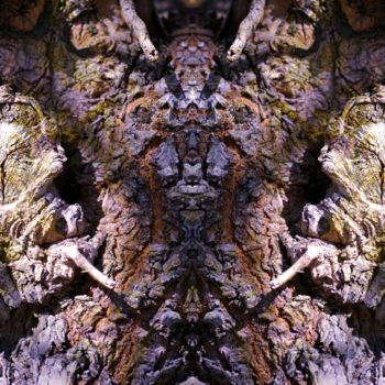 Digitale Kunst mit dem Titel "Clarisylb" von M. Rignol Rogliano, Original-Kunstwerk, Fotomontage