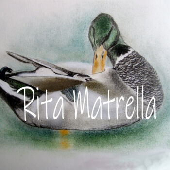 Printmaking titled "Ritratto di Germano…" by Rita Matrella, Original Artwork