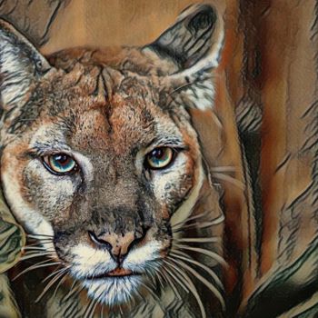 Arts numériques intitulée "Puma" par Rita Tielemans, Œuvre d'art originale, Travail numérique 2D