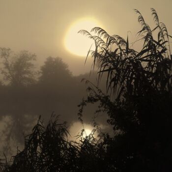 Photography titled "Dans la brume" by Rm Studio, Original Artwork, Digital Photography