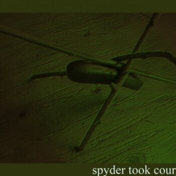 Фотография под названием "Spider took courget…" - Rob Arbouw, Подлинное произведение искусства