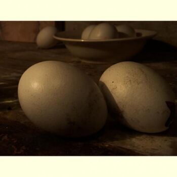Photography titled "Eggs and offspring" by Rob Arbouw, Original Artwork