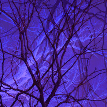 Digitale Kunst mit dem Titel "Cold Winter Night" von Robbi Ling Montgomery, Original-Kunstwerk, 2D digitale Arbeit