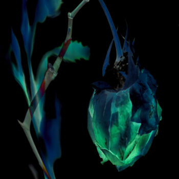 Digital Arts titled "The Lantern" by Robbi Ling Montgomery, Original Artwork, 2D Digital Work