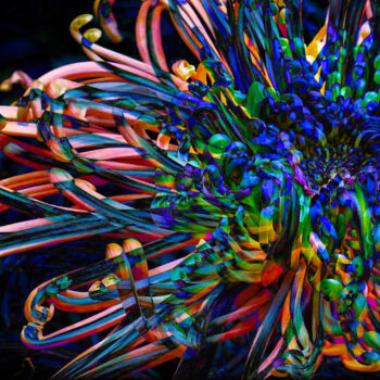 Digital Arts titled "Tangled Rainbow" by Robbi Ling Montgomery, Original Artwork, 2D Digital Work